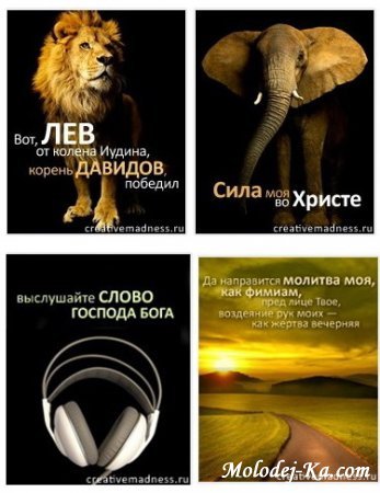 Подборка замечательных (java) книг в телефон (240*320) (320*240) христианских проповедников + БОНУС