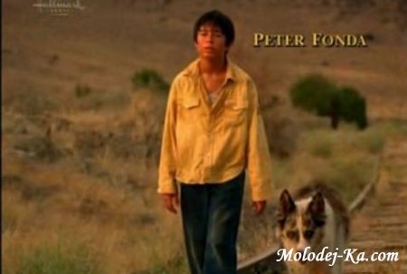 Чудо Мальдонадо" в FLV формате