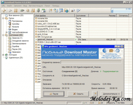 Download Master - скачать Download Master 5.5.15.1177 download