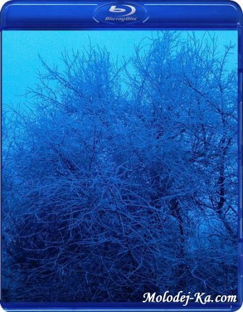 Виртуальное путешествие: Биэй, Фурано - Снежная Сказка / Virtual Trip: Biei, Furano - Snow Fantasy (2007) Blu-ray Disk + 720p