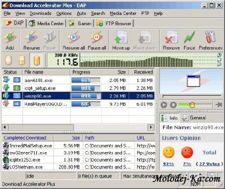 Download Accelerator Plus 9.4.0.1 Beta