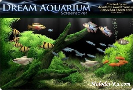 Dream Aquarium Screensaver 1.24 + Aquariums