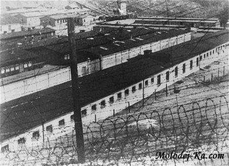 Николай Бойко свидетельство