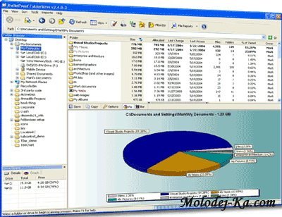 FolderSizes v5.0.67 Pro Portable FolderSizes v5.0.67 Pro Portable