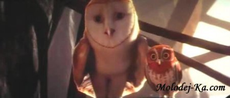Легенды ночных стражей / Legend of the Guardians: The Owls of Ga’Hoole (2010) CAMRip
