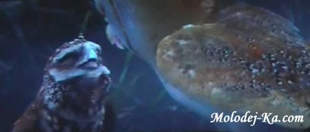 Легенды ночных стражей / Legend of the Guardians: The Owls of Ga’Hoole (2010) CAMRip