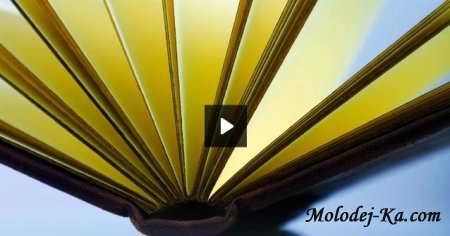 Уставы. Правила. Постановления