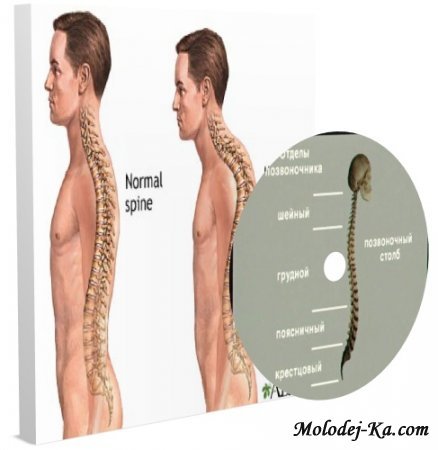 Лечение позвоночника./Гимнастика, массаж (2006г/TVRip) видео