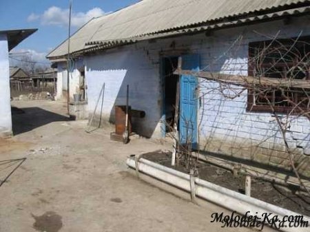 Дом милосердия (House of mercy) Помощь для бездомных!