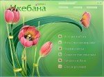 Новый Диск | Цветочный дизайн : Икебана [2008] [EXE]