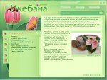 Новый Диск | Цветочный дизайн : Икебана [2008] [EXE]