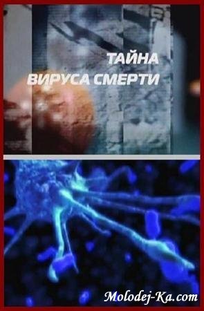 Тайна вируса смерти (2011 / SATRip) Тайна вируса смерти (2011 / SATRip)