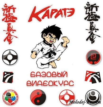 Кекушин будокай кан: УЛИЧНОЕ КАРАТЭ. Семинар Федоришена (2011 / DVDRip) Кекушин будокай кан: УЛИЧНОЕ КАРАТЭ. Семинар Федоришена (2011 / DVDRip)