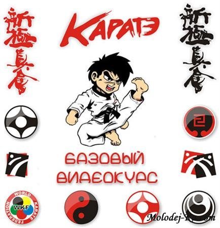 Кекушин будокай кан: УЛИЧНОЕ КАРАТЭ. Семинар Федоришена (2011 / DVDRip) Кекушин будокай кан: УЛИЧНОЕ КАРАТЭ. Семинар Федоришена (2011 / DVDRip)