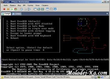 Установка виртуальной машины FreeBSD в VMware (2010) Установка виртуальной машины FreeBSD в VMware (2010)