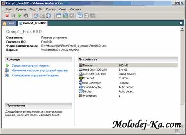Установка виртуальной машины FreeBSD в VMware (2010) Установка виртуальной машины FreeBSD в VMware (2010)