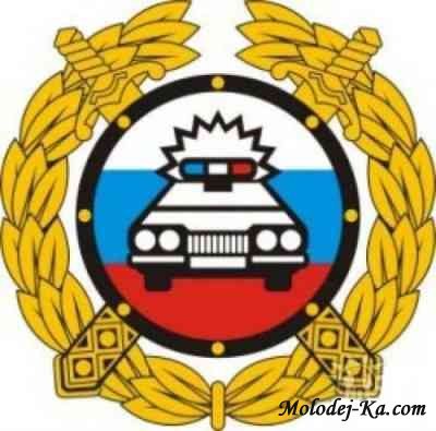 База данных ГИБДД 2011 - Новинка!!!