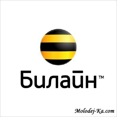 скачать База данных Билайн 2011 - Новинка!!! бесплатно
