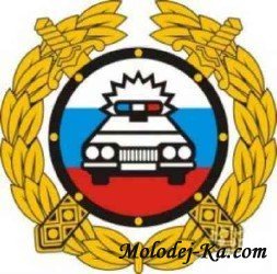 скачать База данных ГИБДД 2011 - Новинка!!! бесплатно