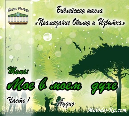 Христианкая аудио проповедь «Мое в моем духе»