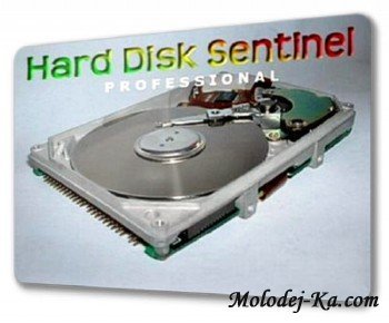 Hard Disk Sentinel Pro v3.60.4810 Multilingual