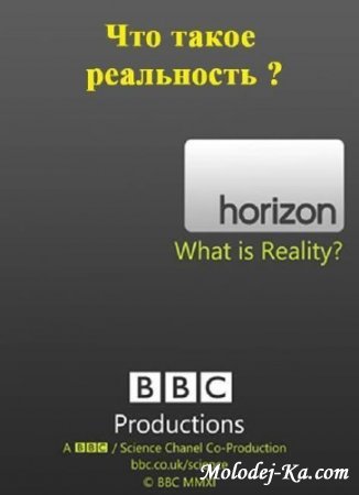Что такое реальность? / What Is Reality? 2011 HDTVRip.