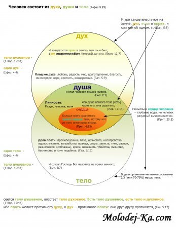 Человек состоит из духа, души и тела (1-фес.5:23) "Дух, Душа и Тело"