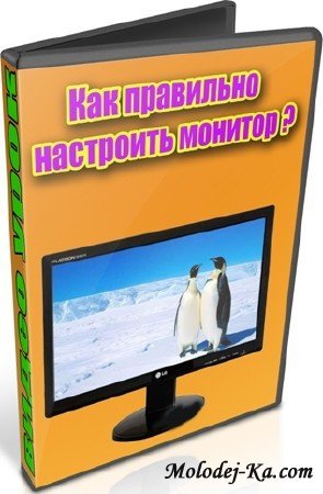 Как правильно настроить монитор (2012) DVDRip Как правильно настроить монитор (2012) DVDRip