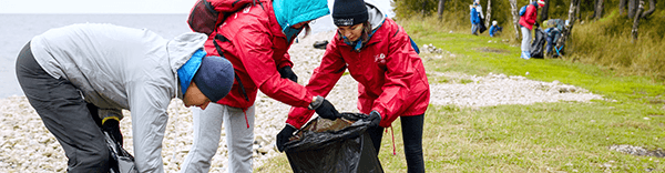 cropped-detail_7ca39a090ae81590593728b68d368fc0-1.png