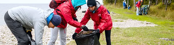 cropped-detail_7ca39a090ae81590593728b68d368fc0-1.png